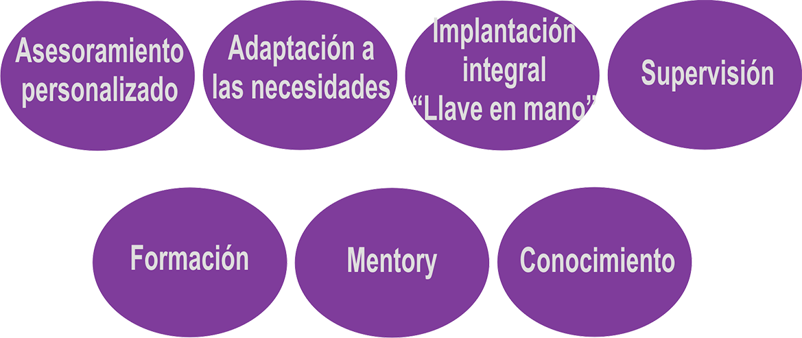 servicios ofrecidos por T-ICI servicios ofrecidos por T-ICI