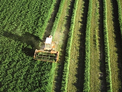 Agricultura Agricultura